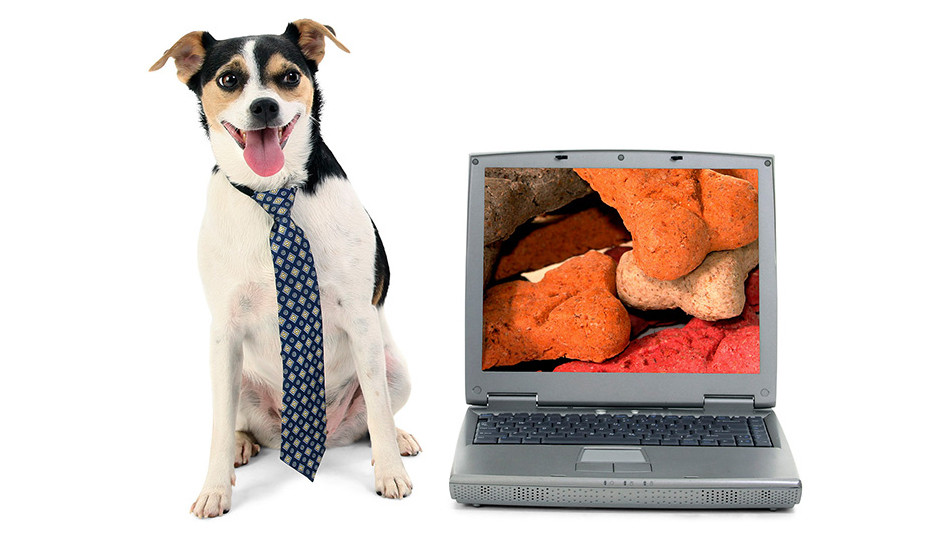 dogcomp